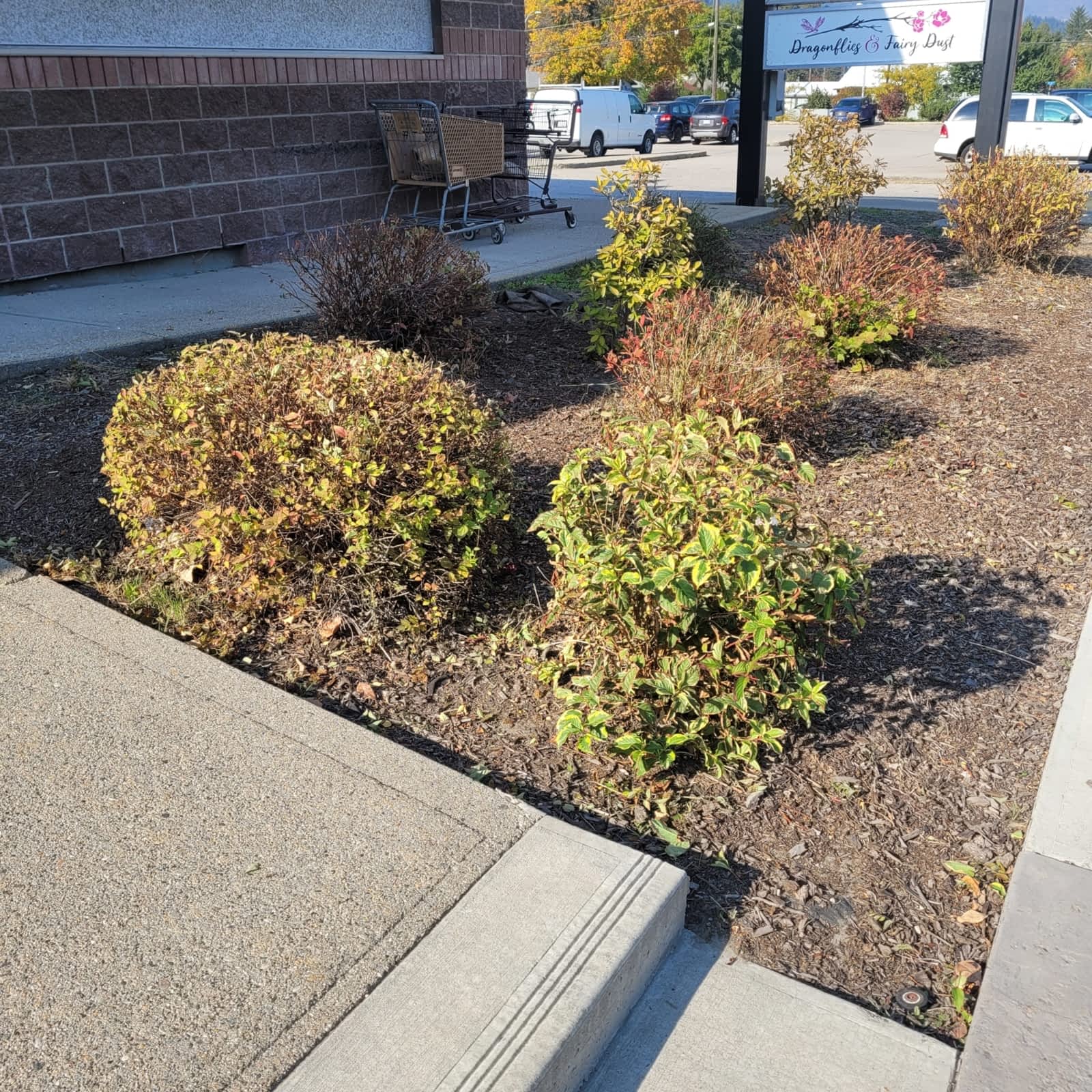 Photo credit: yellowpages.ca