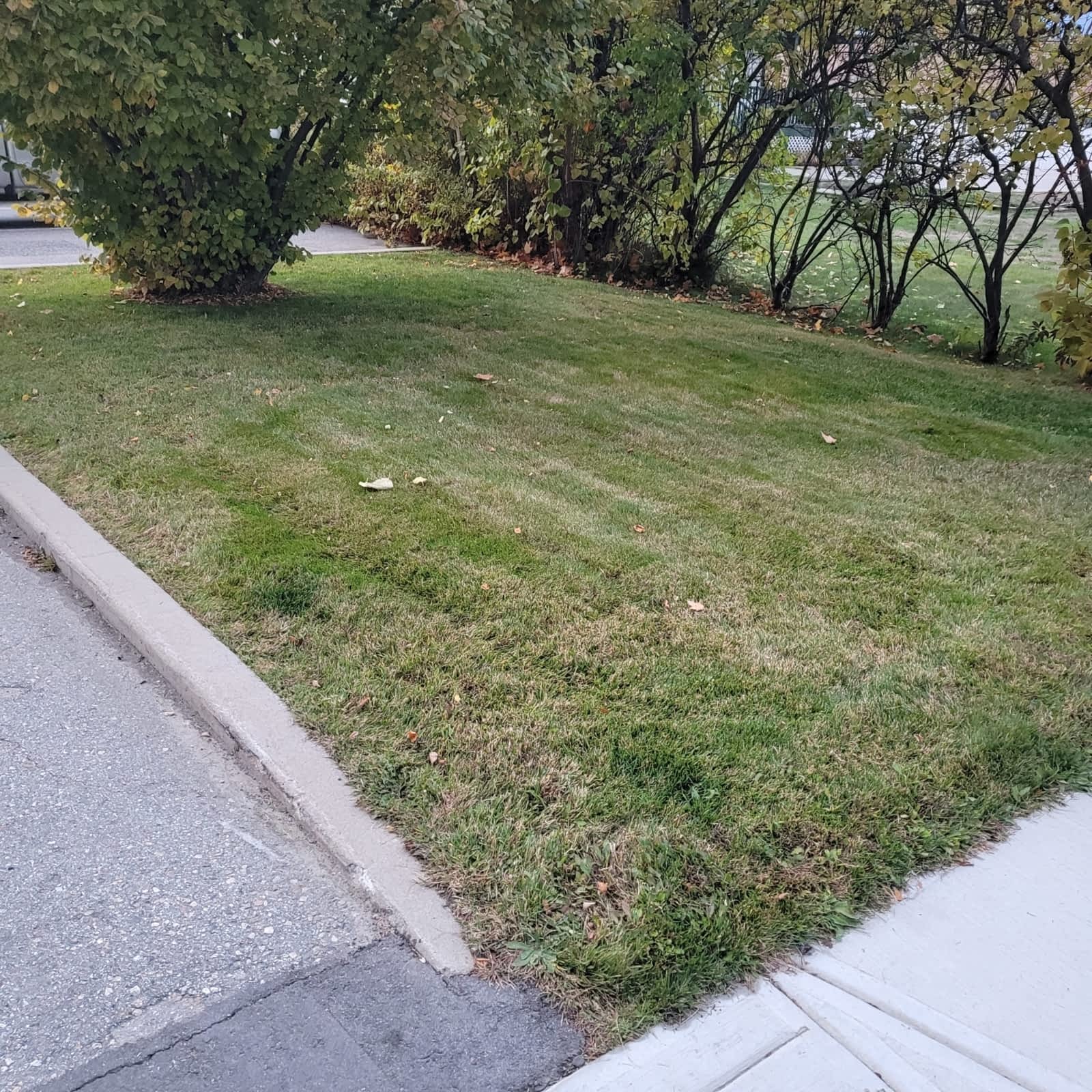 Photo credit: yellowpages.ca