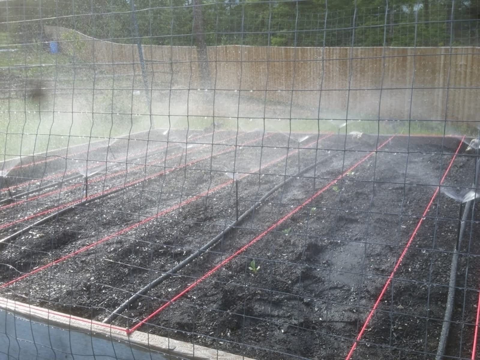 Photo credit: yellowpages.ca