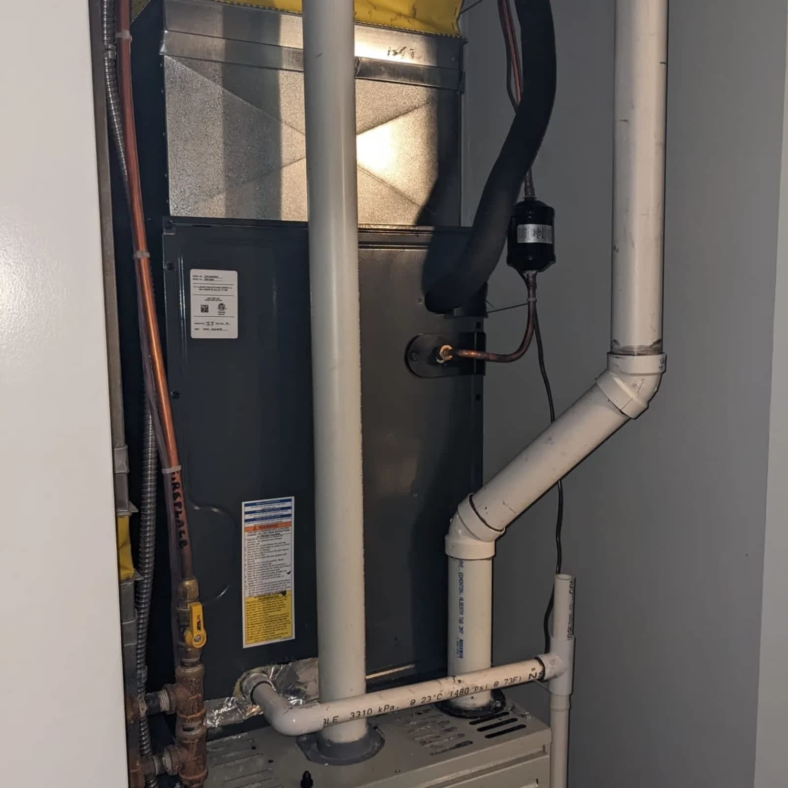 Photo credit: yellowpages.ca