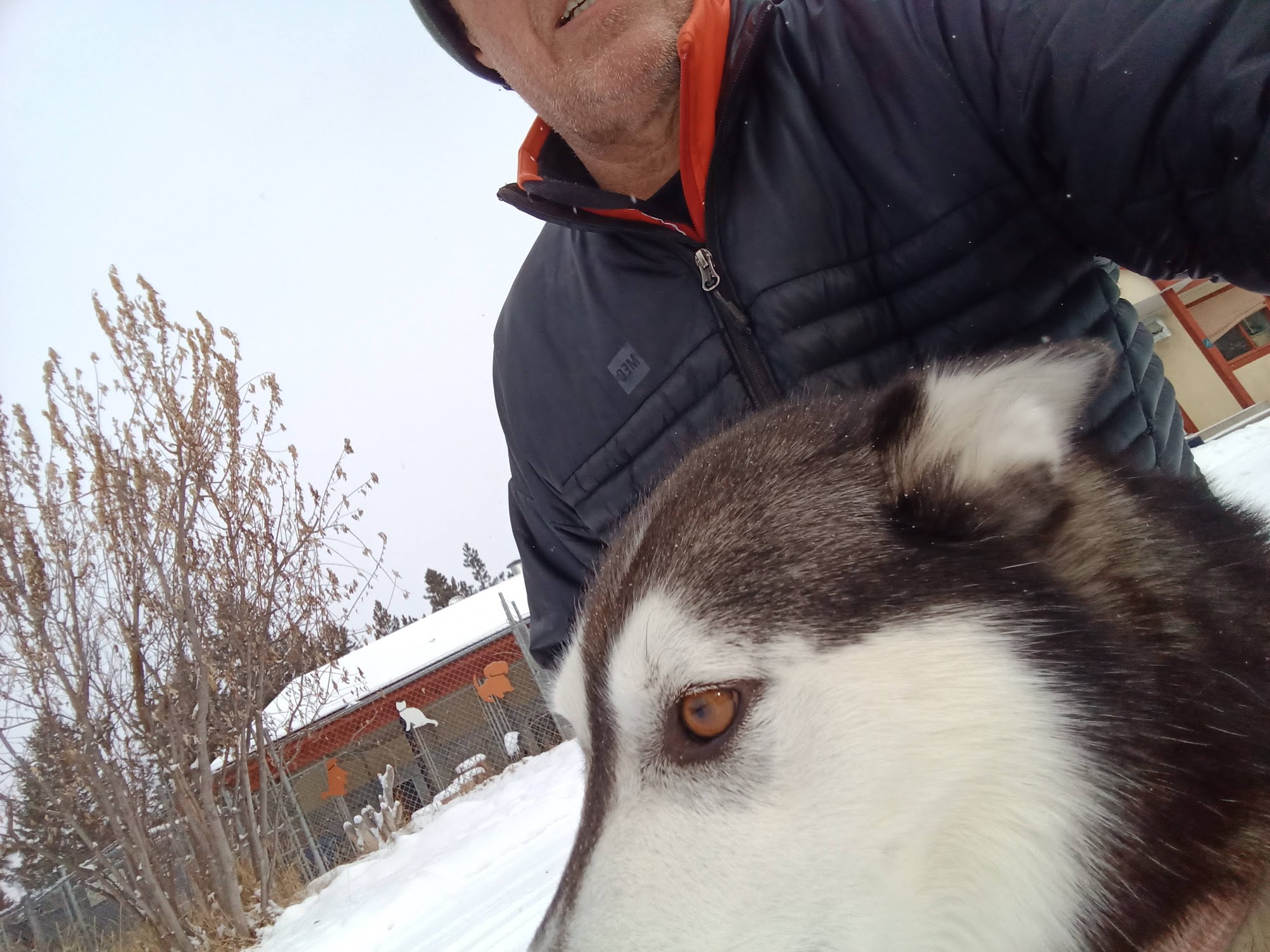 BC SPCA East Kootenay Cranbrook