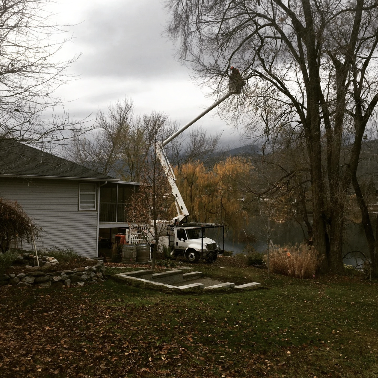 Valley Tree Solutions