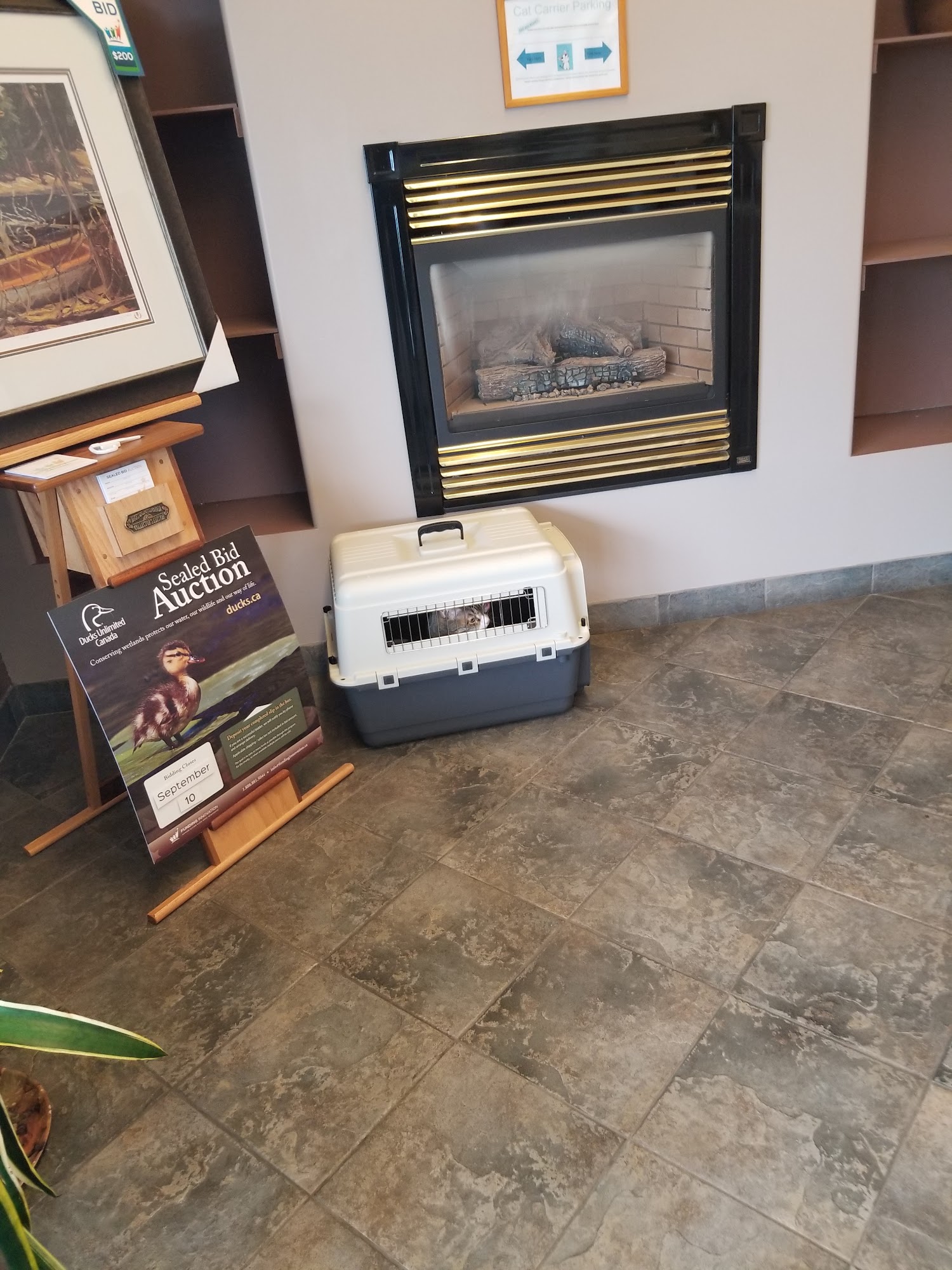 Ospika Pet & Farm Supplies Prince George