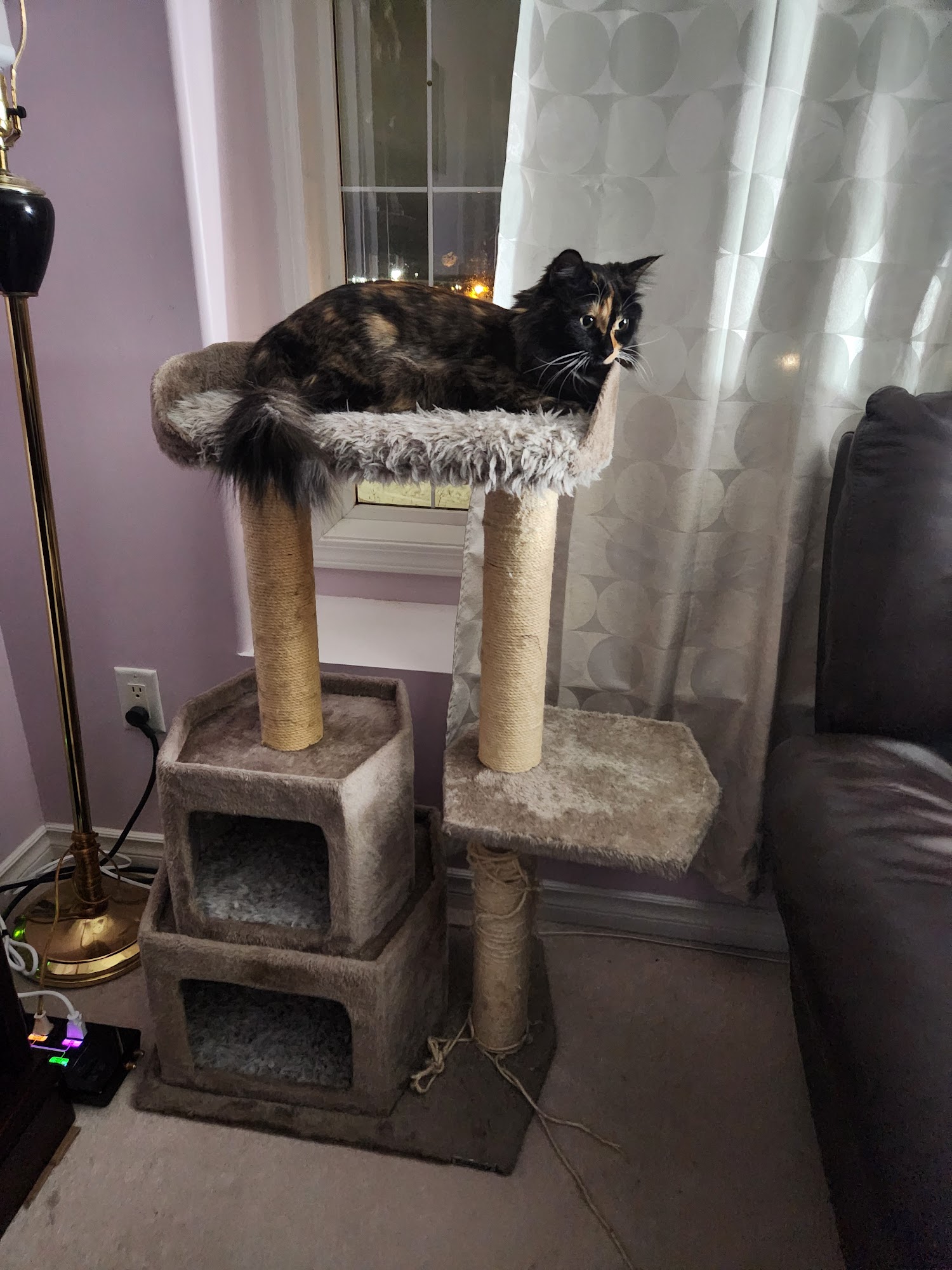 BC SPCA Prince George Spay Neuter Clinic Prince George