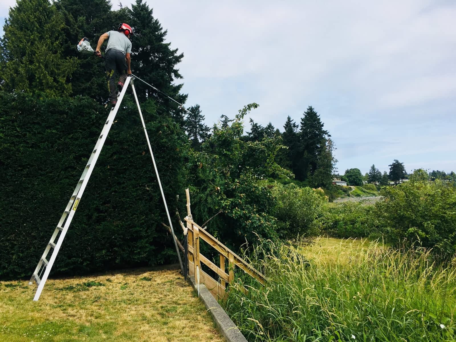 Photo credit: yellowpages.ca