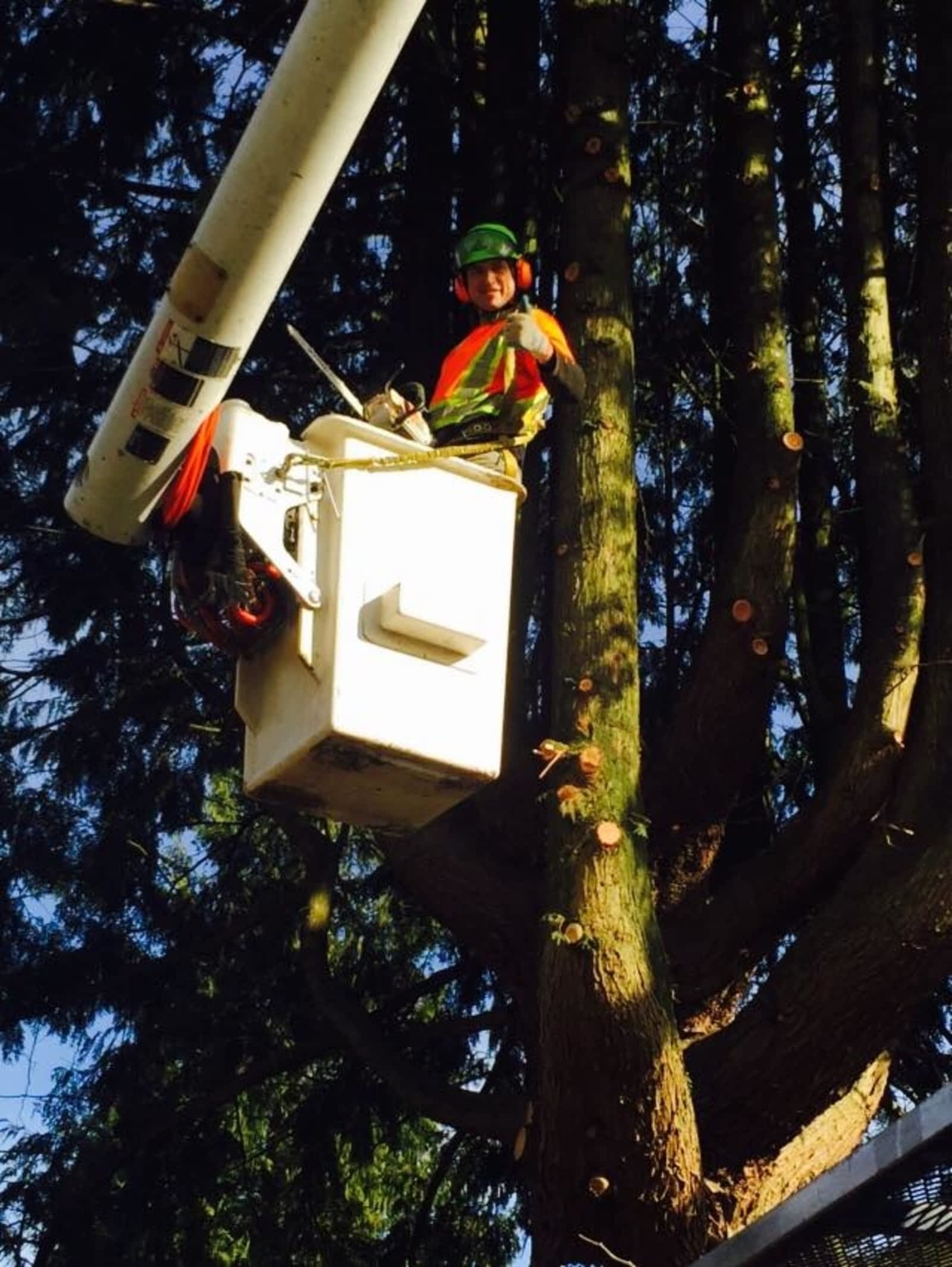 Photo credit: yellowpages.ca