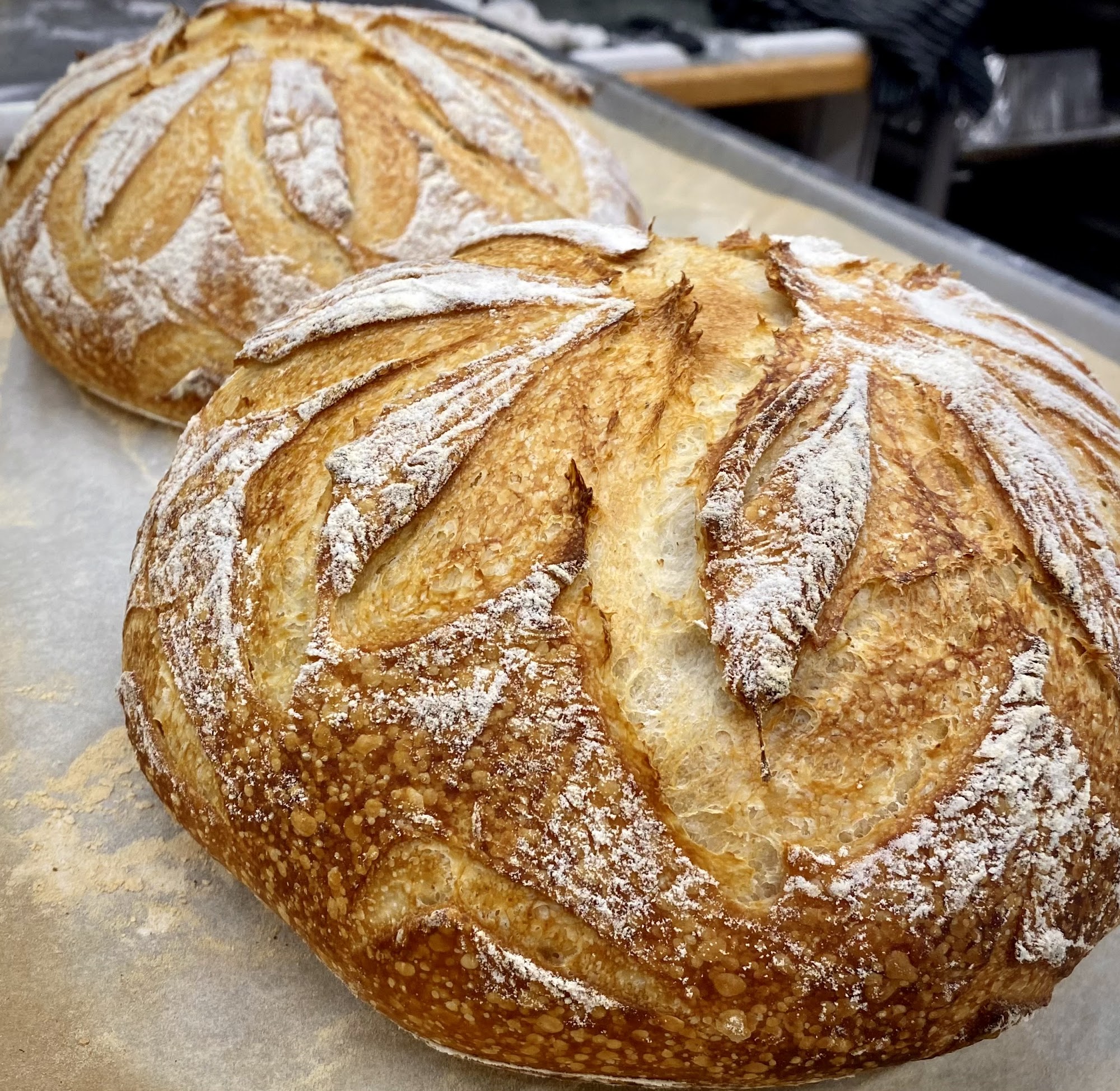 HOT BREAD SHOPPE 2901 31 St, Vernon, BC V1T 1Y9