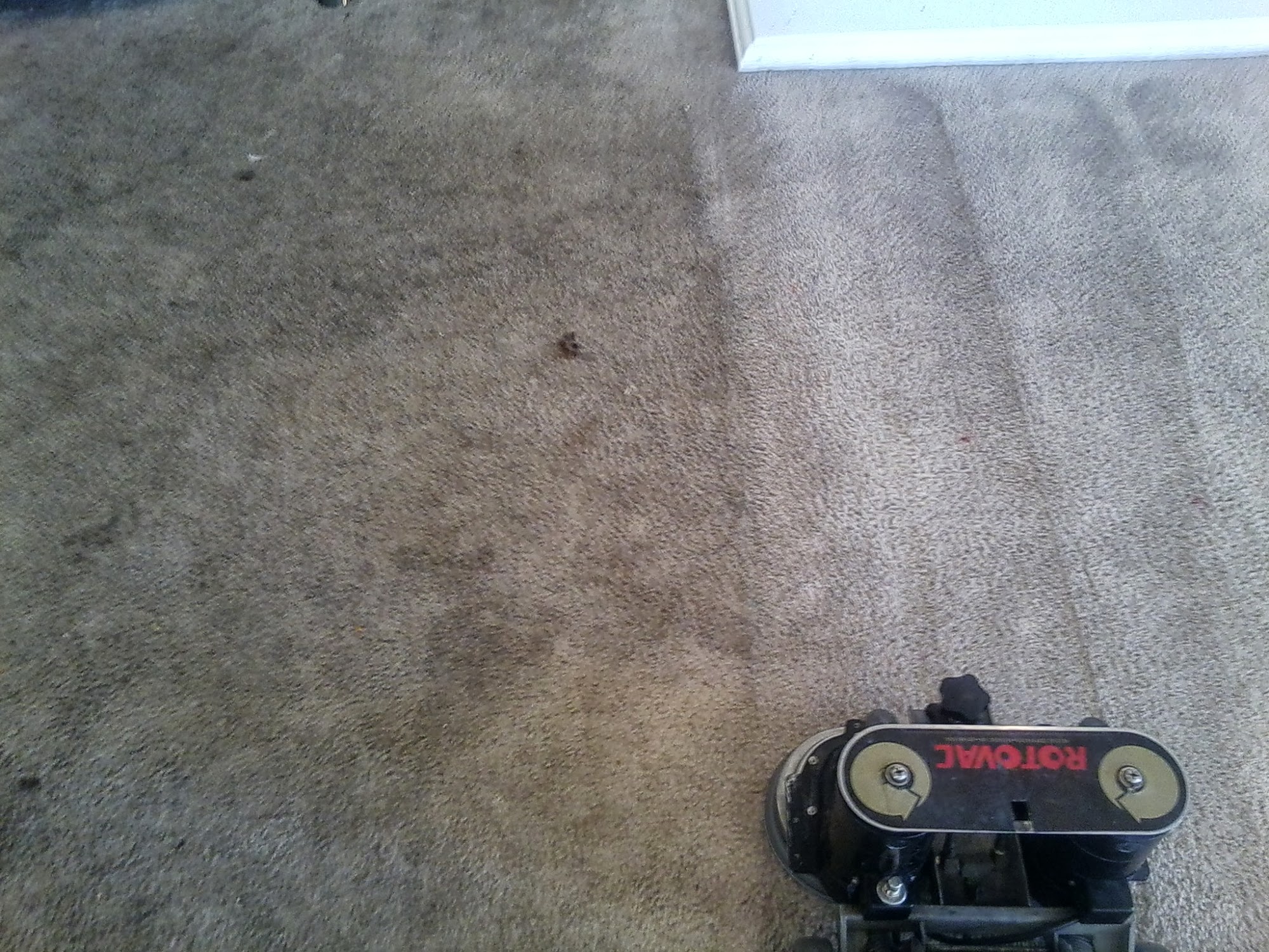 Doctor Steam Carpet & Upholstery Cleaning 6430 Opal St, Alta Loma California 91701