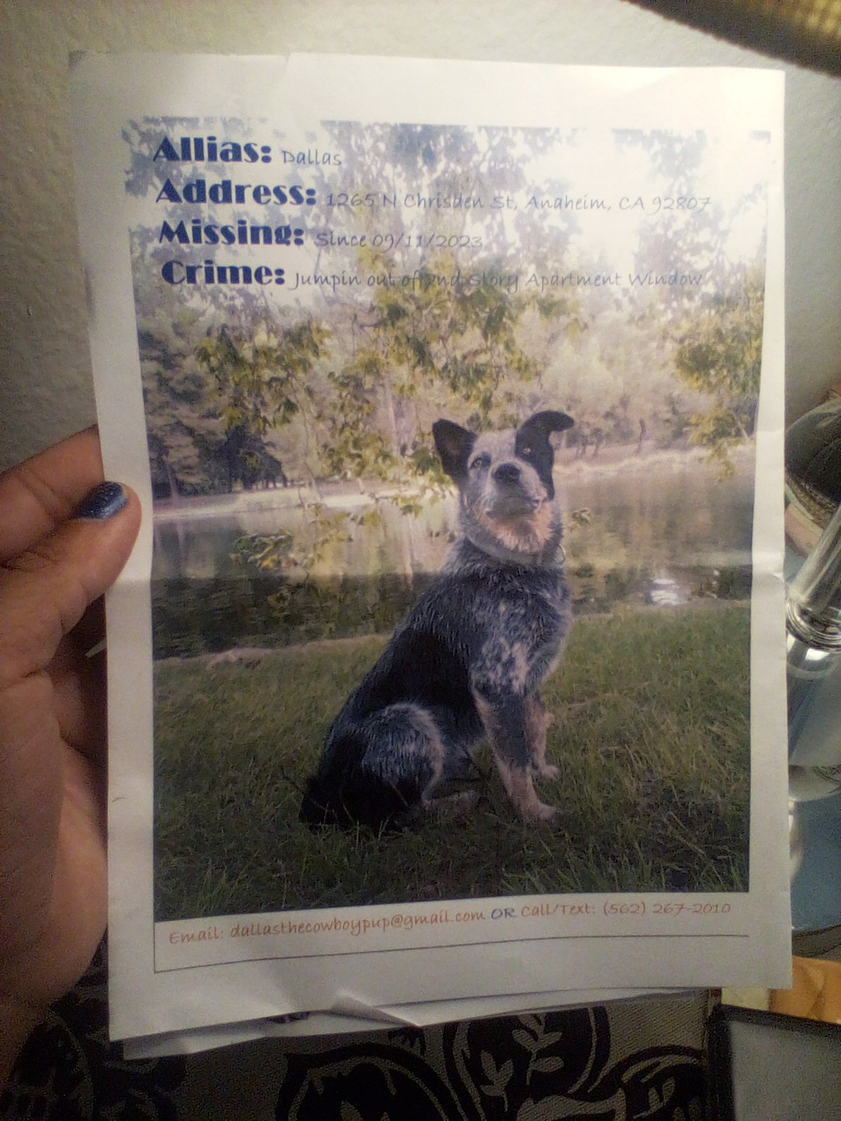 Pet Supply Warehouse Anaheim