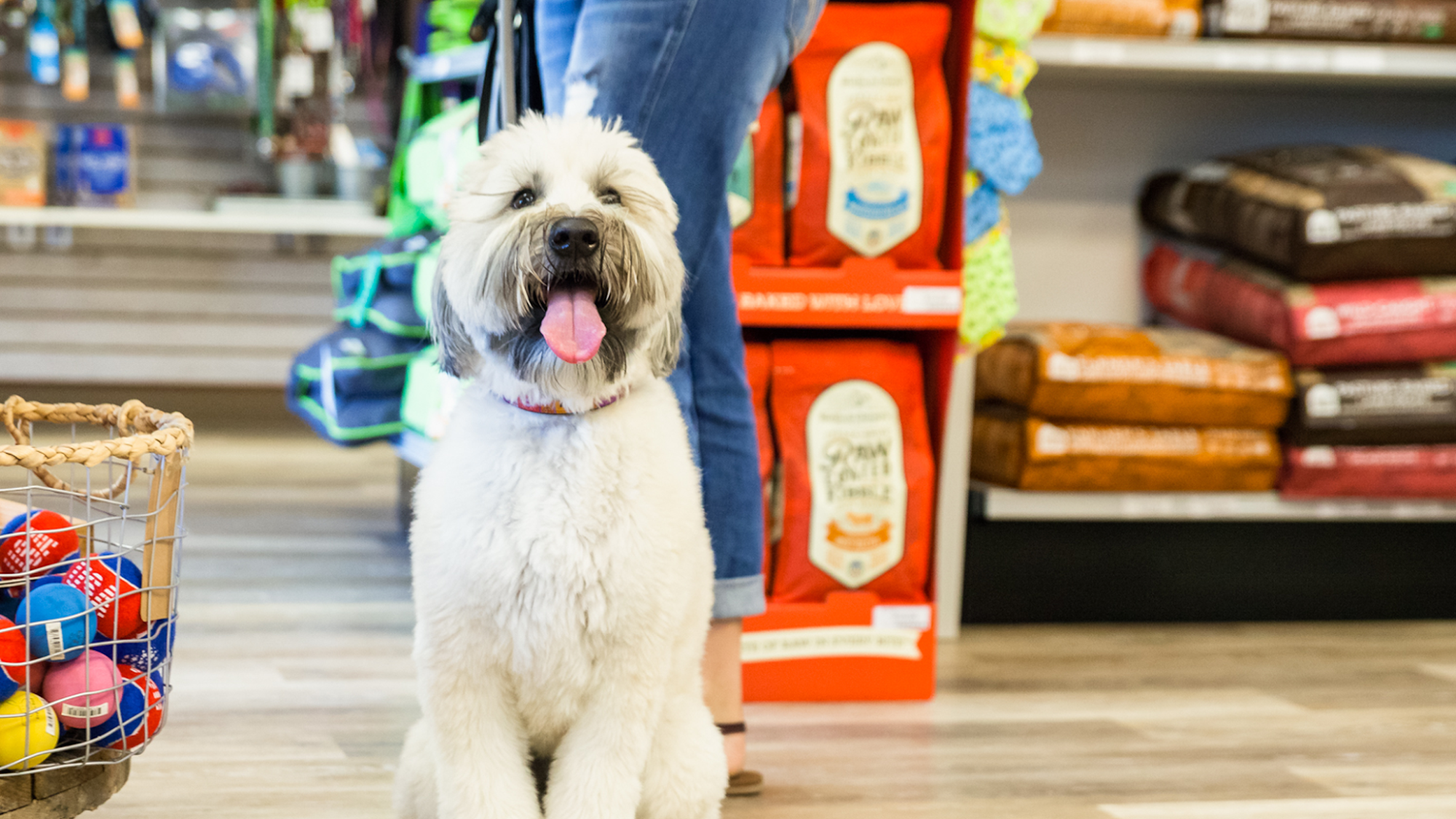 EarthWise Pet Supply Carlsbad