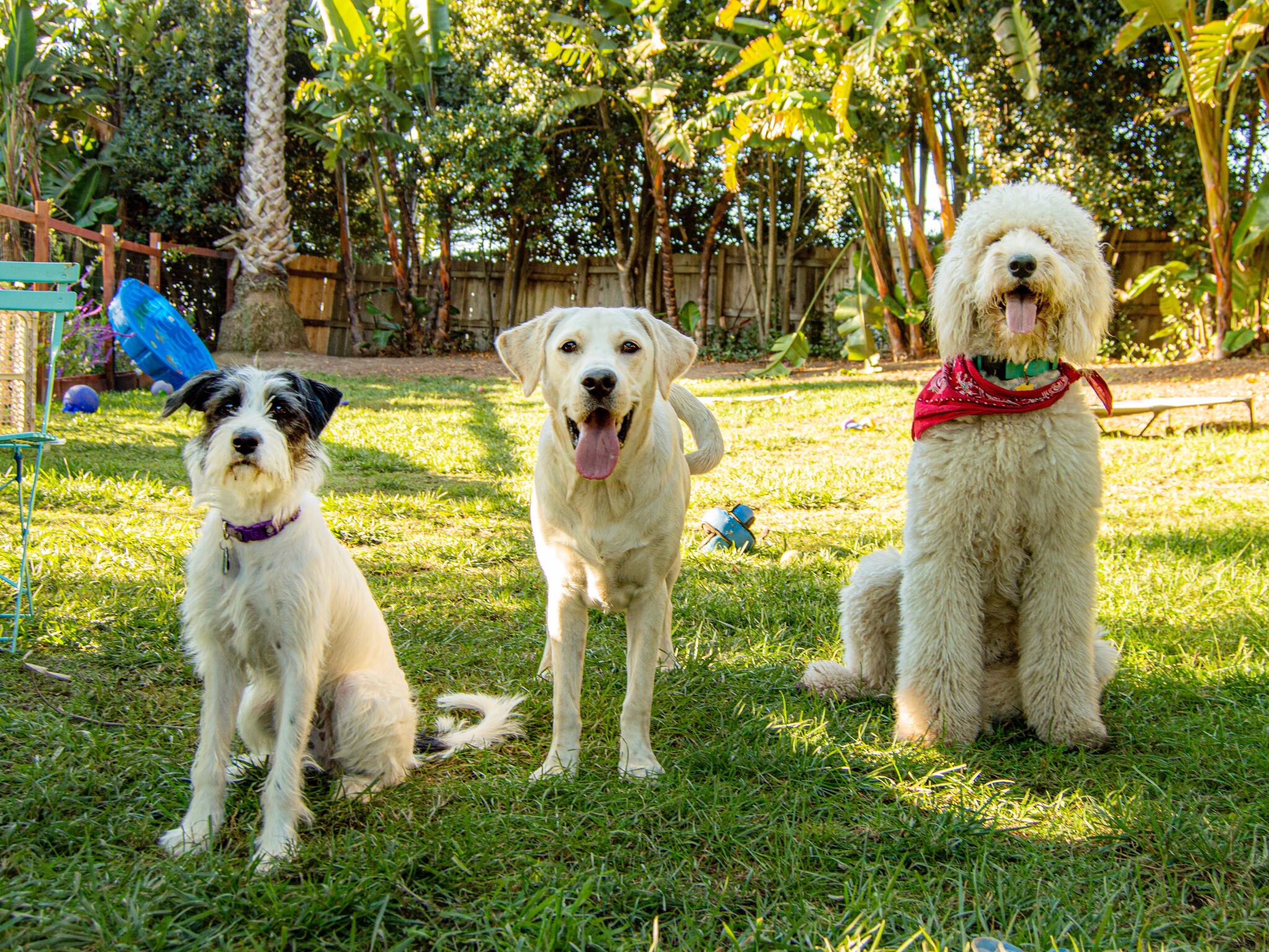 Photo credit: nextdoor