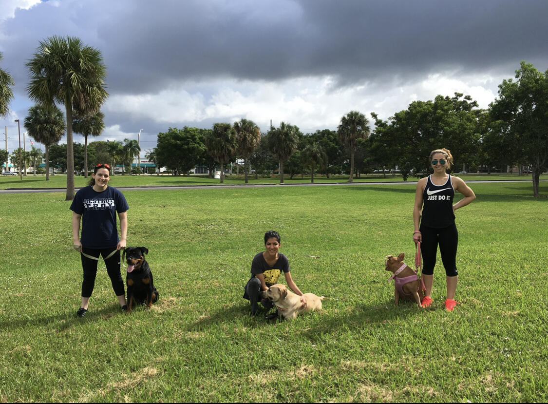 Photo credit: nextdoor