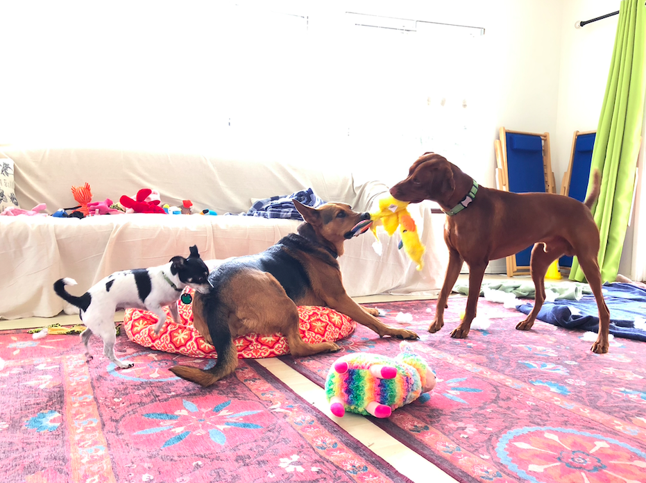 Photo credit: nextdoor