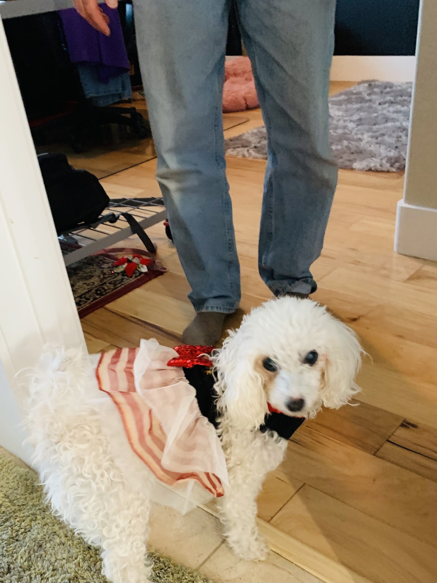 Meade Canine Rescue Foundation Creston