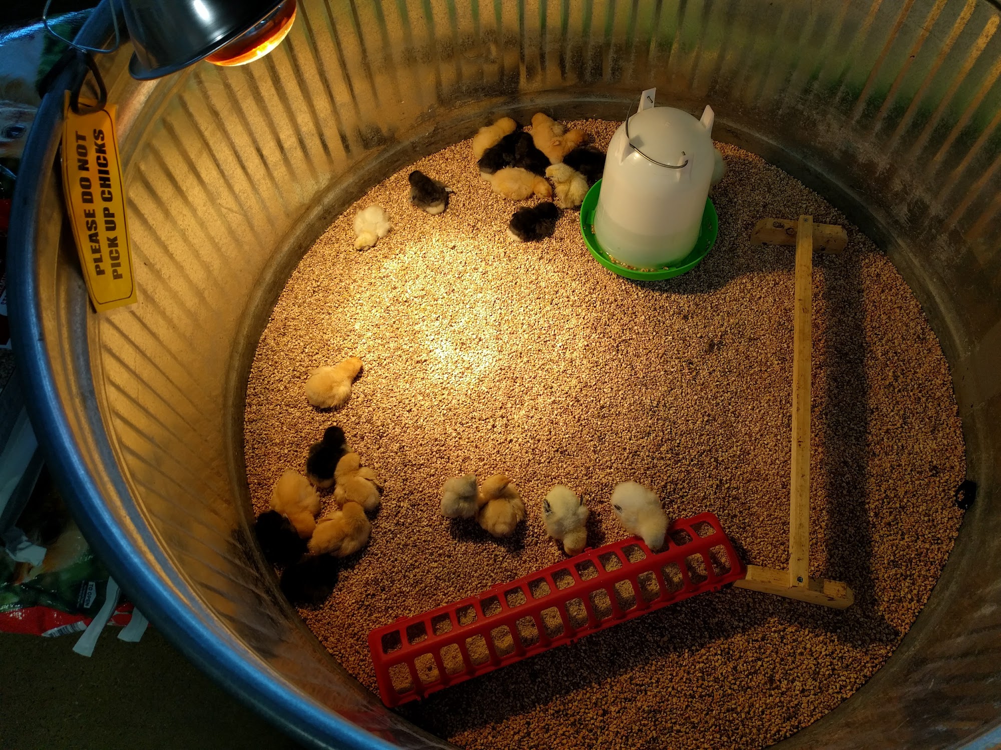 Concord Feed Pet & Livestock Supplies Dublin