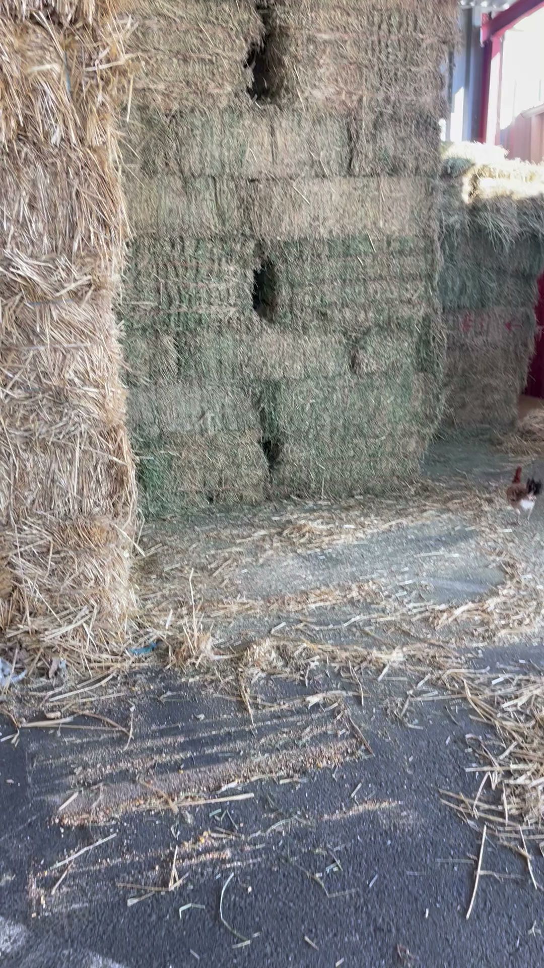 Elm Avenue Feed Fresno