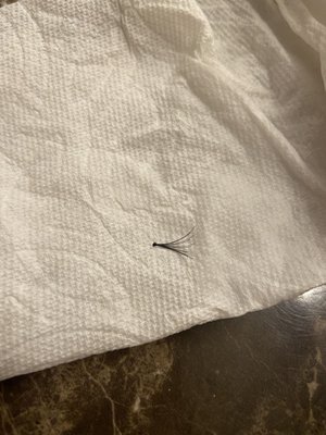 Da Vi Nails Salon & Spa