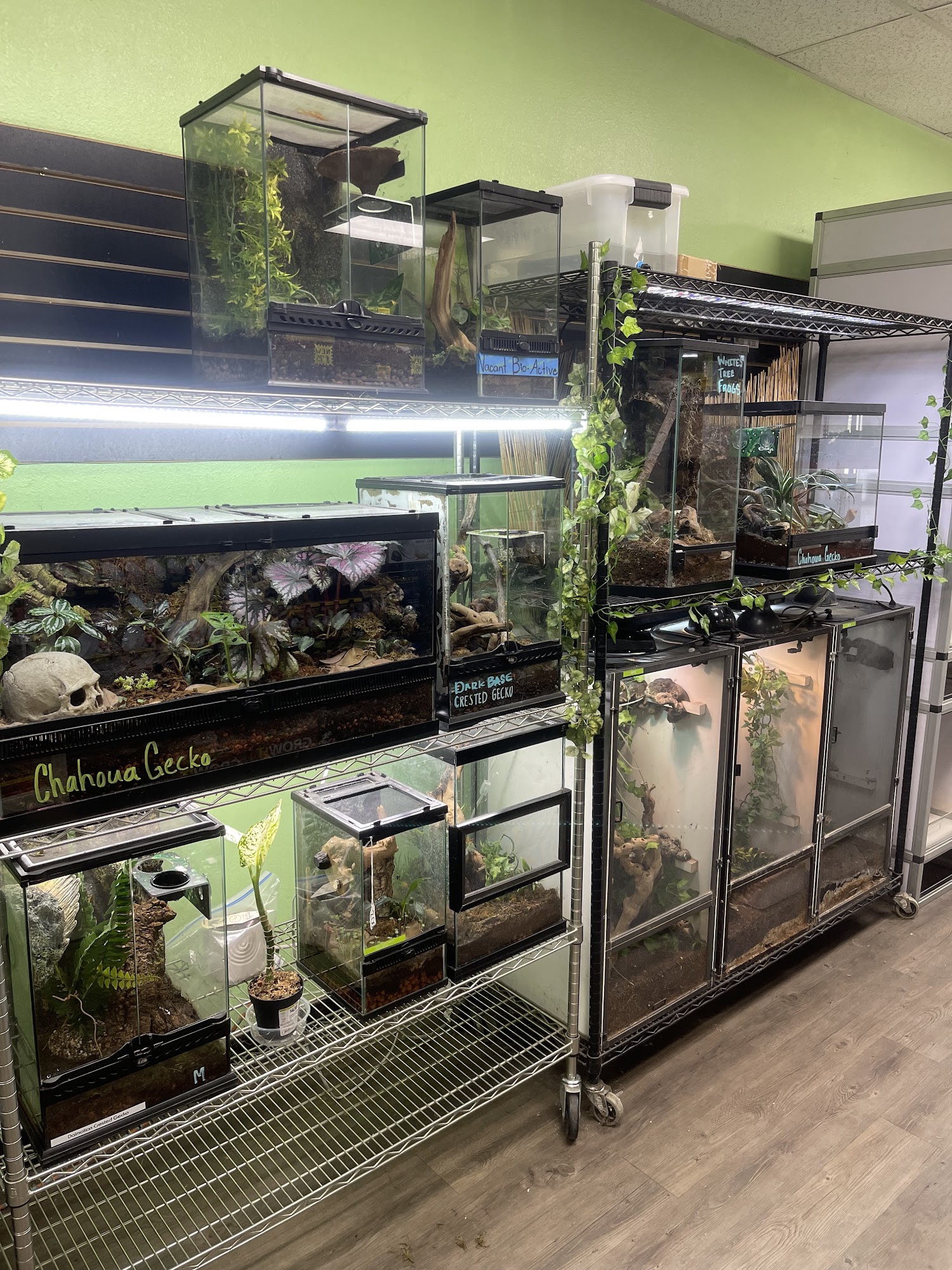 The Basking Spot Pets and Supplies Glendora