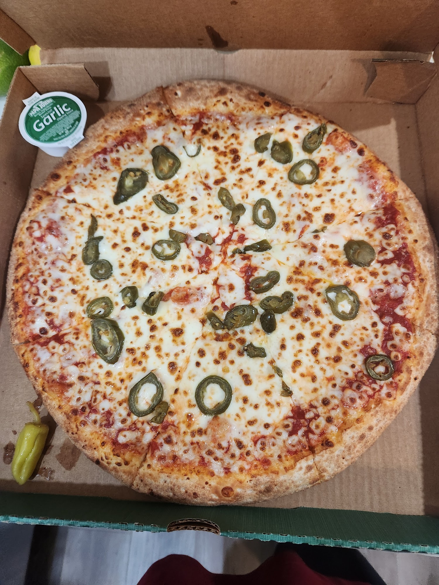 Papa Johns Pizza