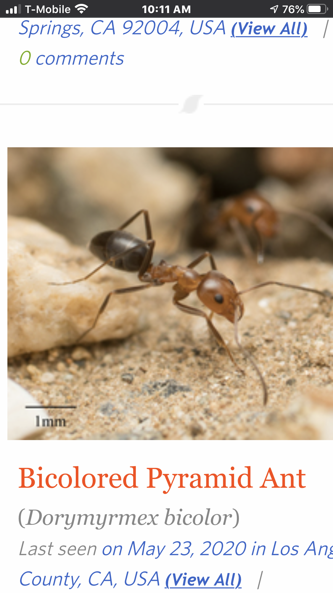 Photo credit: nextdoor