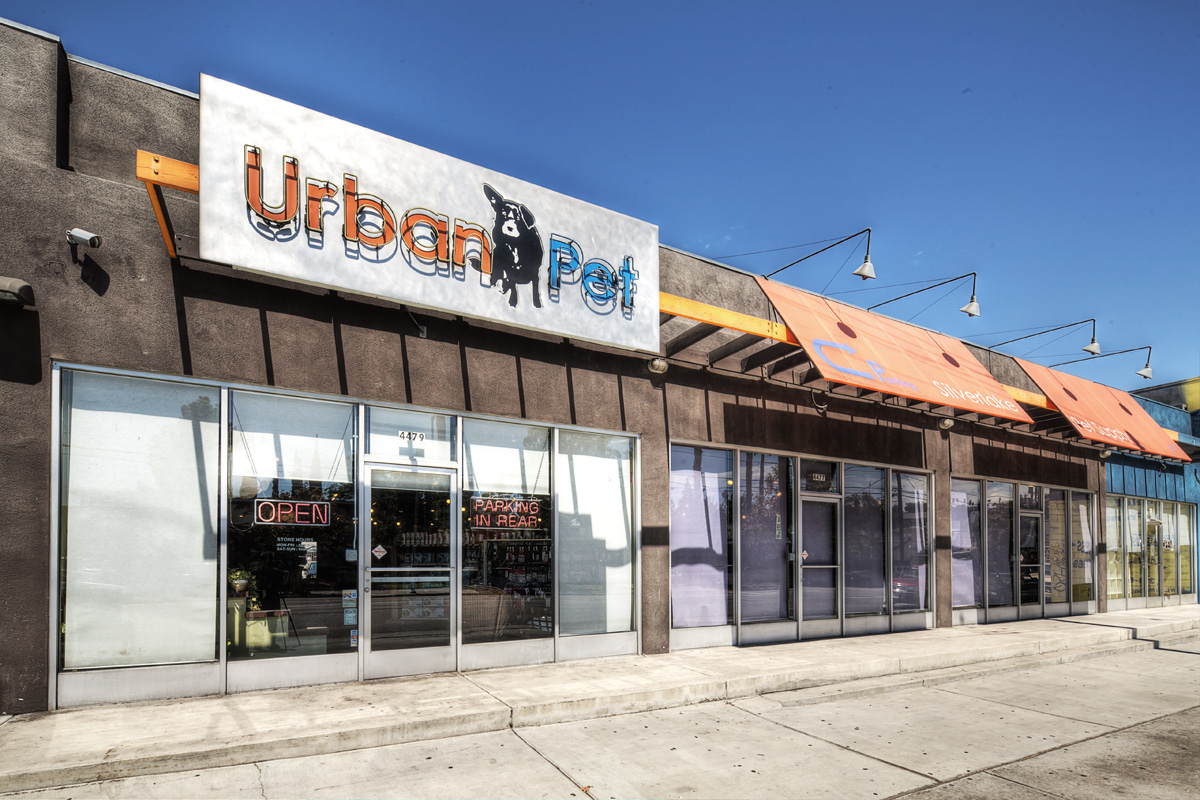 The Urban Pet Los Angeles