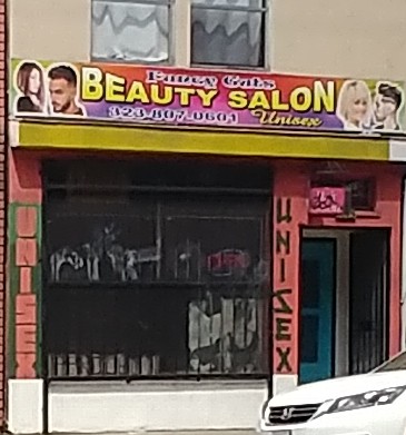 Fancy Guts Beauty Salon