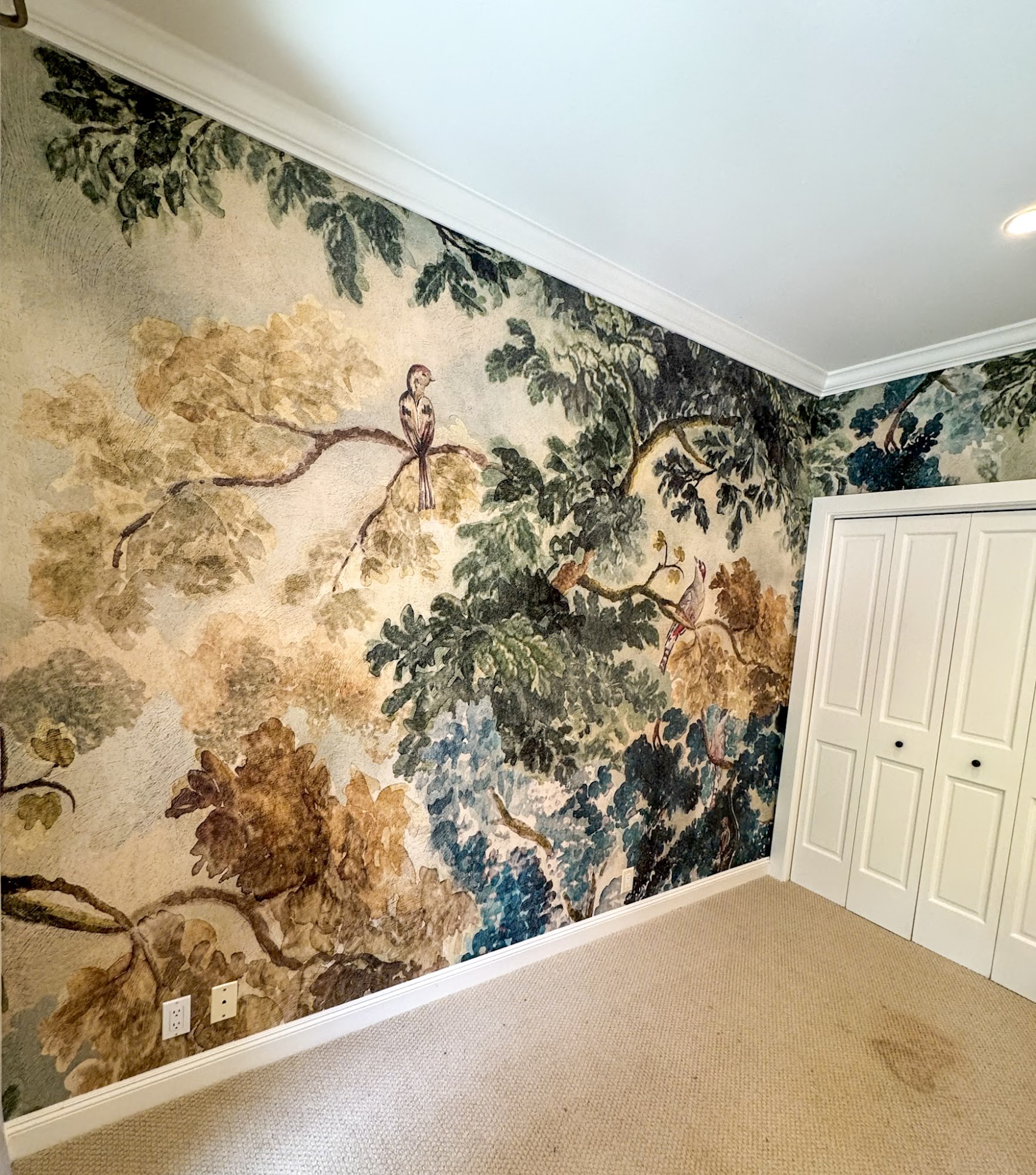 Parfait Wallpaper Services 100 Shoreline Hwy bldg b ste 100, Mill Valley California 94941