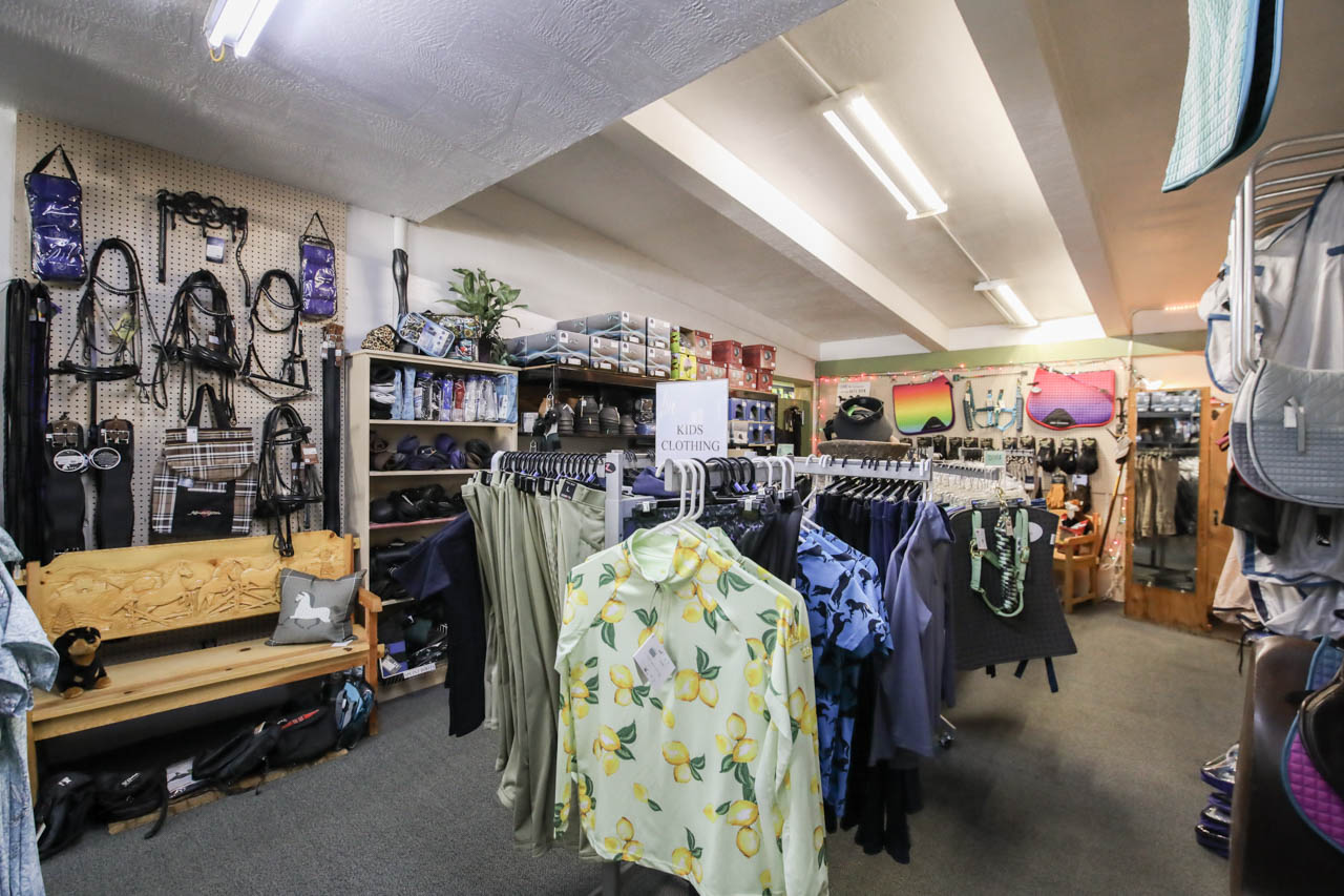 Modesto Feed Modesto