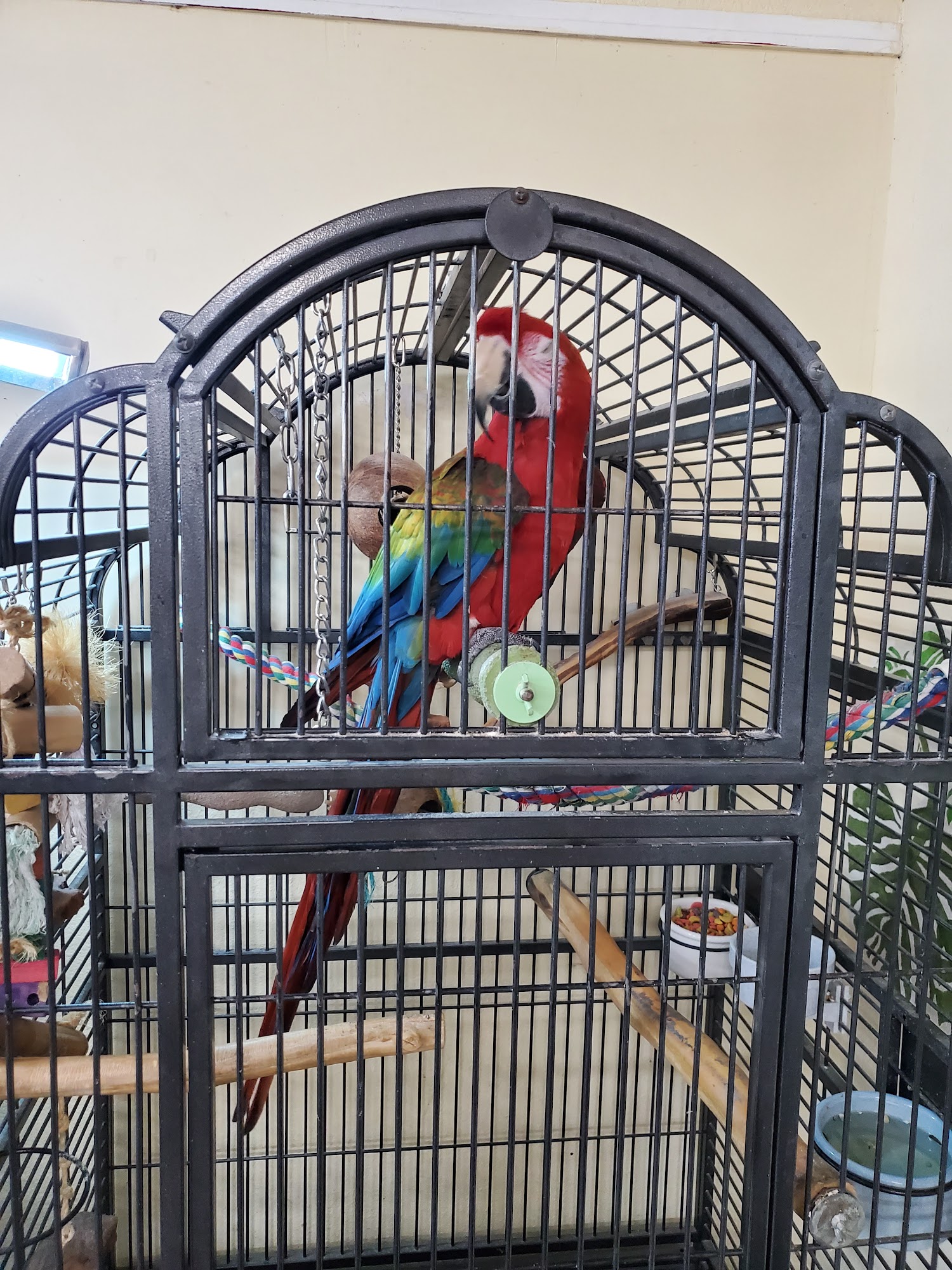 Caldron's Pets Choice Modesto