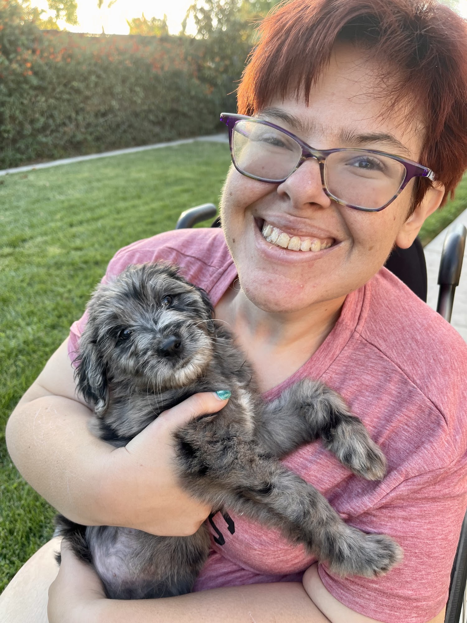 Sd Doodle Pups Oceanside