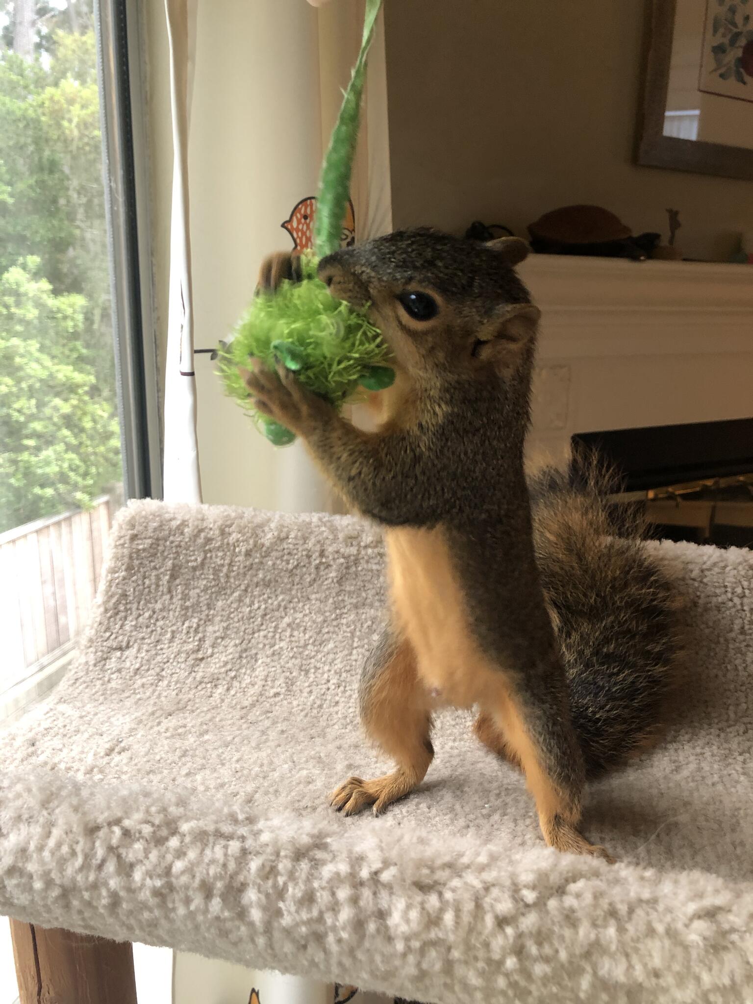 Photo credit: nextdoor