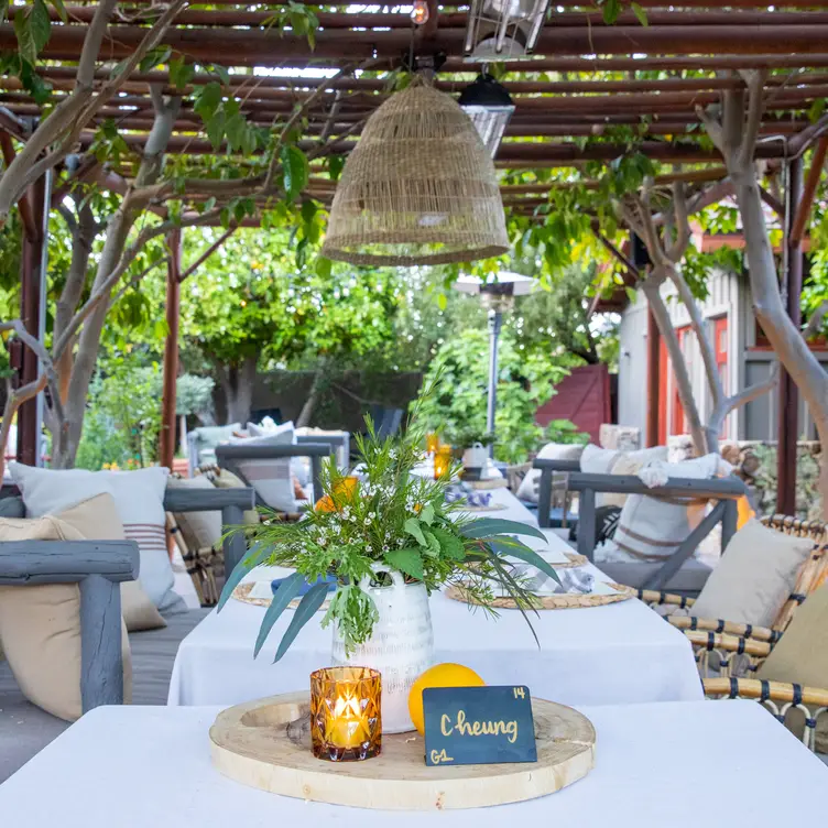 Photo credit: opentable