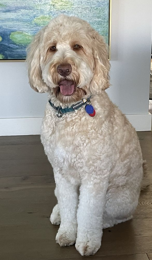 Healthy Spot Pasadena