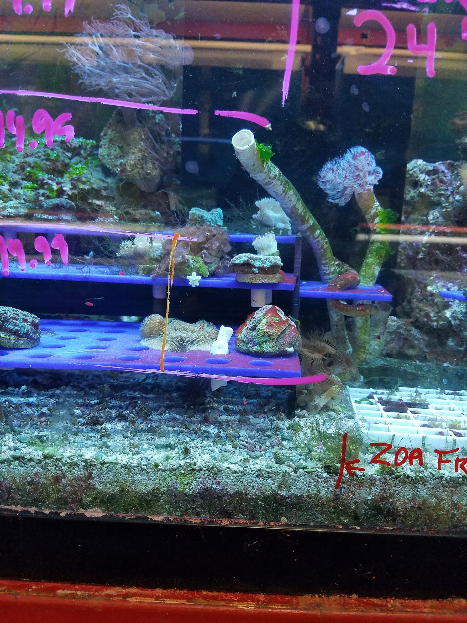 The Pet Department Paso Robles