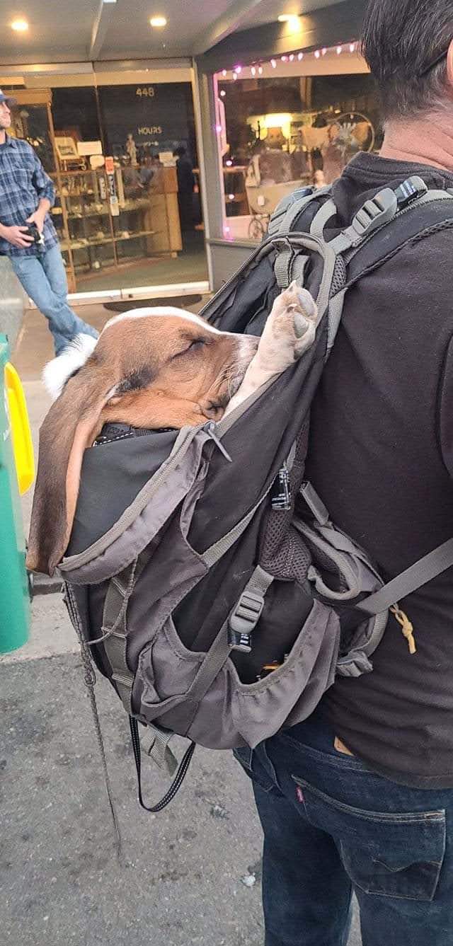 Clifton & Warren Placerville