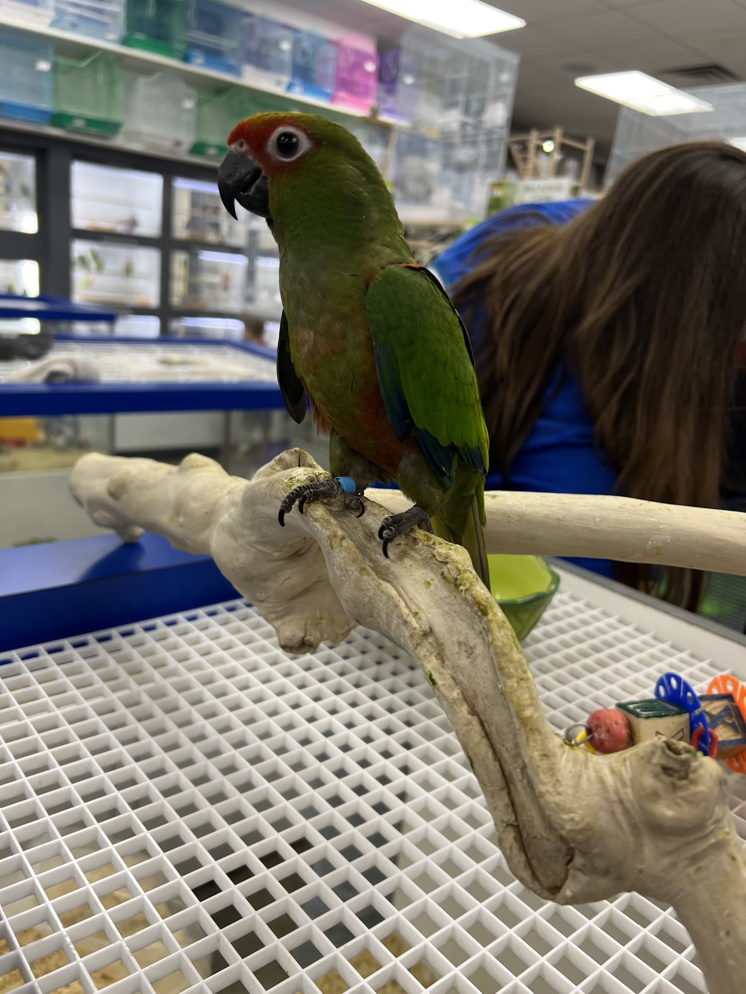 Aquarium and Pets Red Bluff