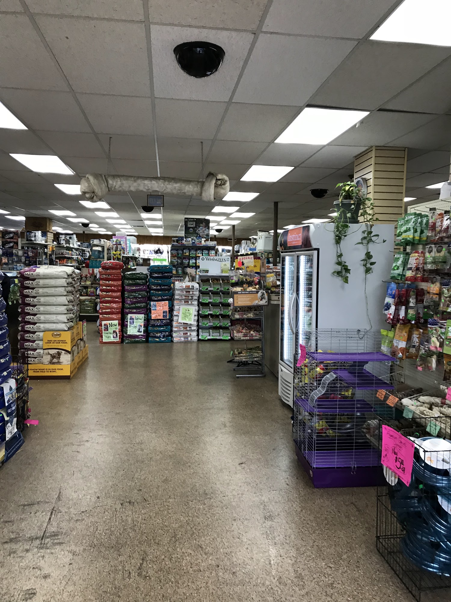Elliotts For Pets Riverside