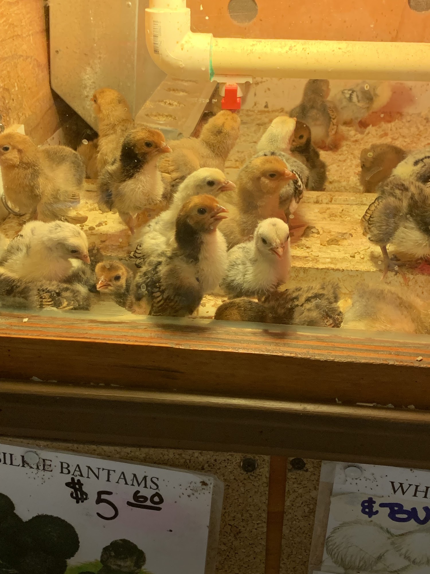Bradshaw Feed & Pet Supply Sacramento