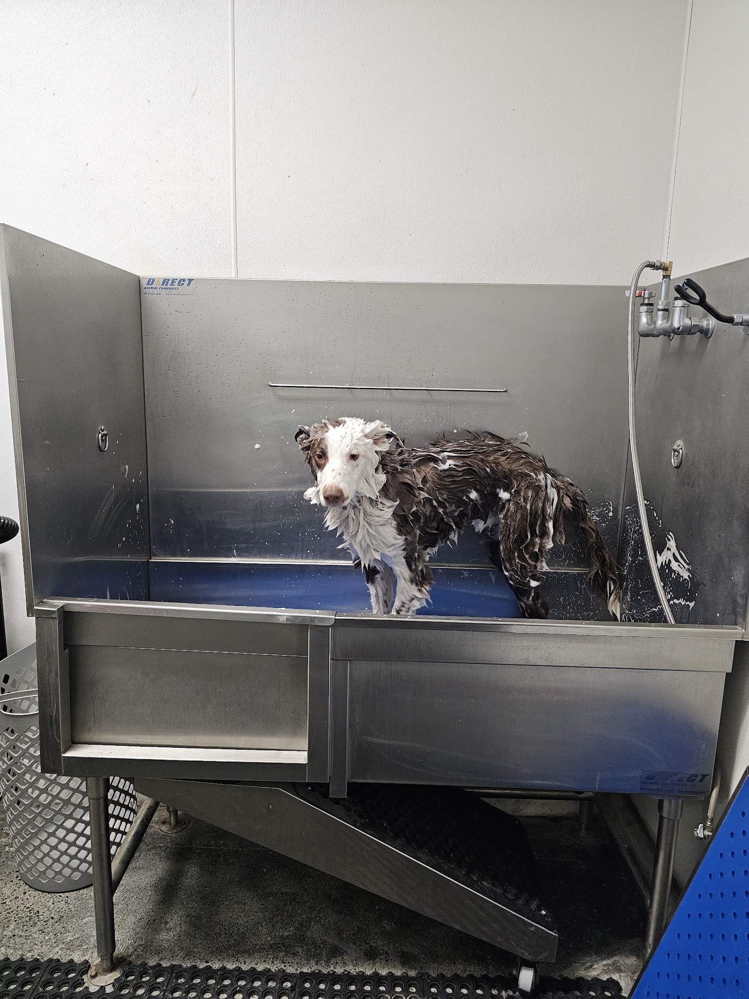 Incredible Pets Sacramento