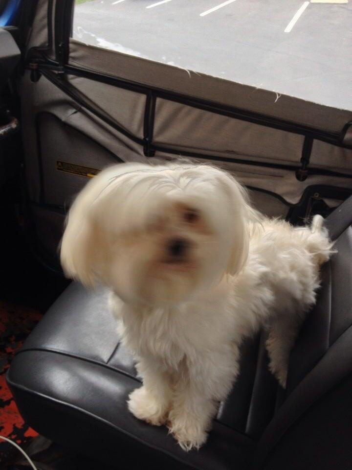 Photo credit: nextdoor