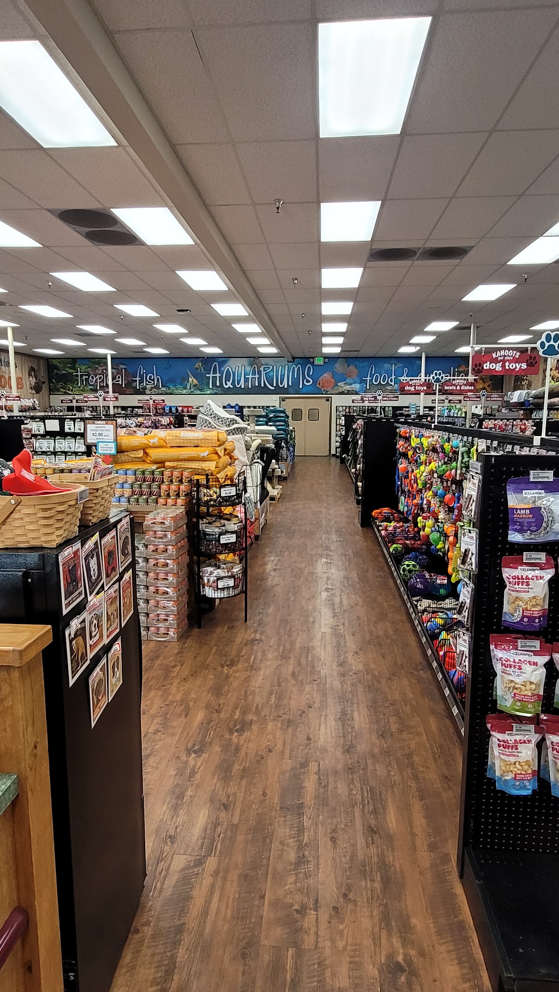 Kahoots San Diego