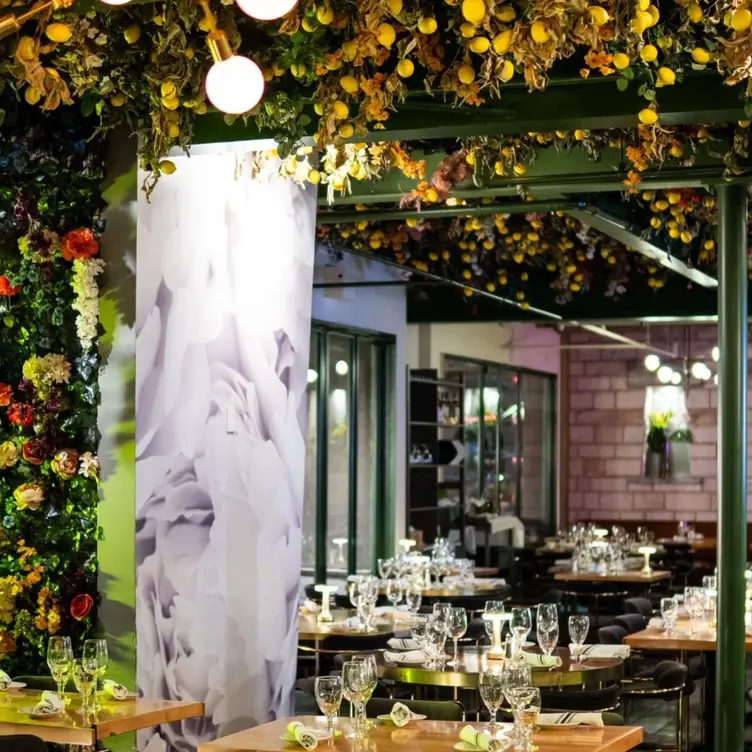 Photo credit: opentable
