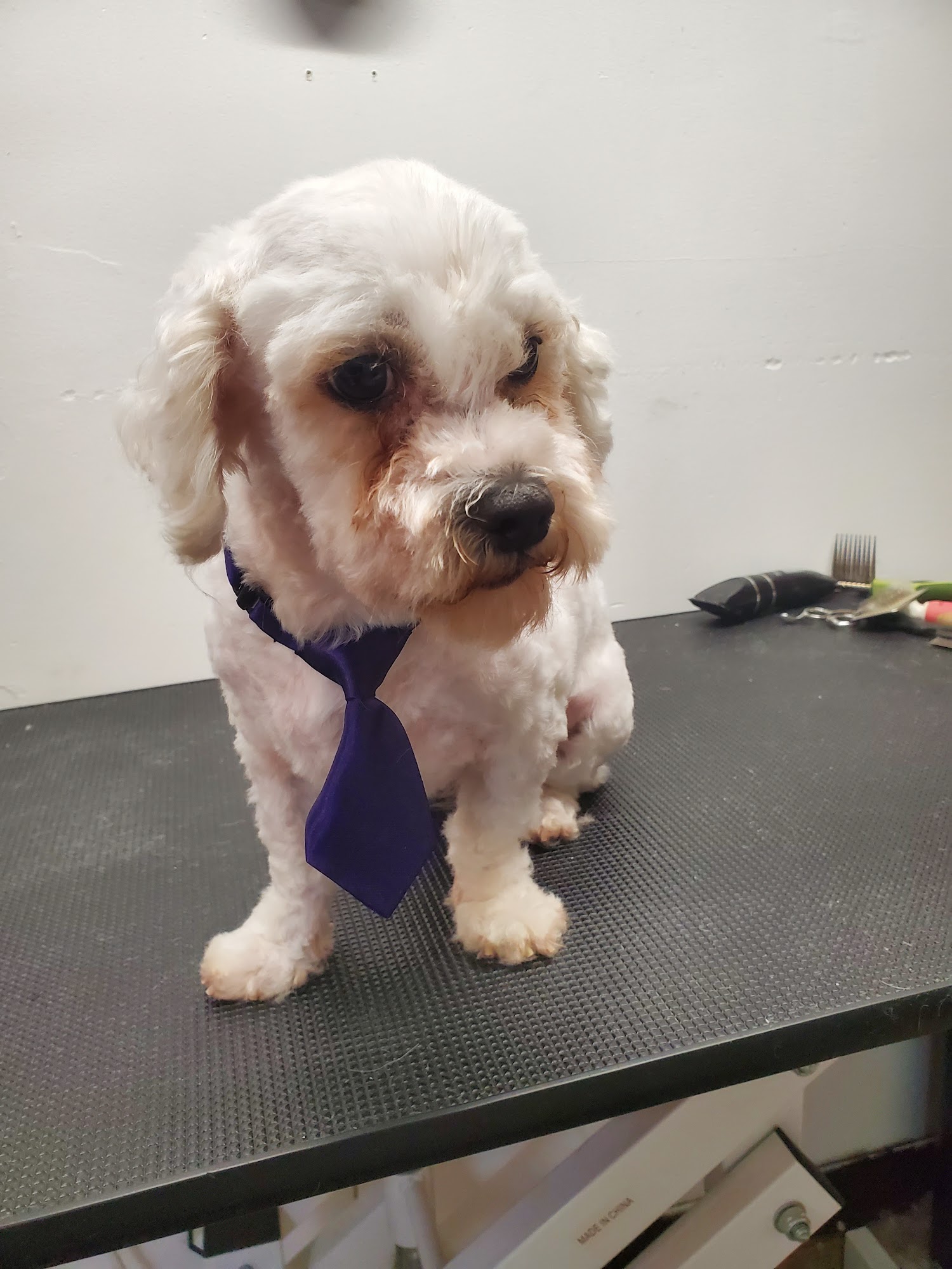 Big Red Barn Dog Grooming & Boarding San Dimas