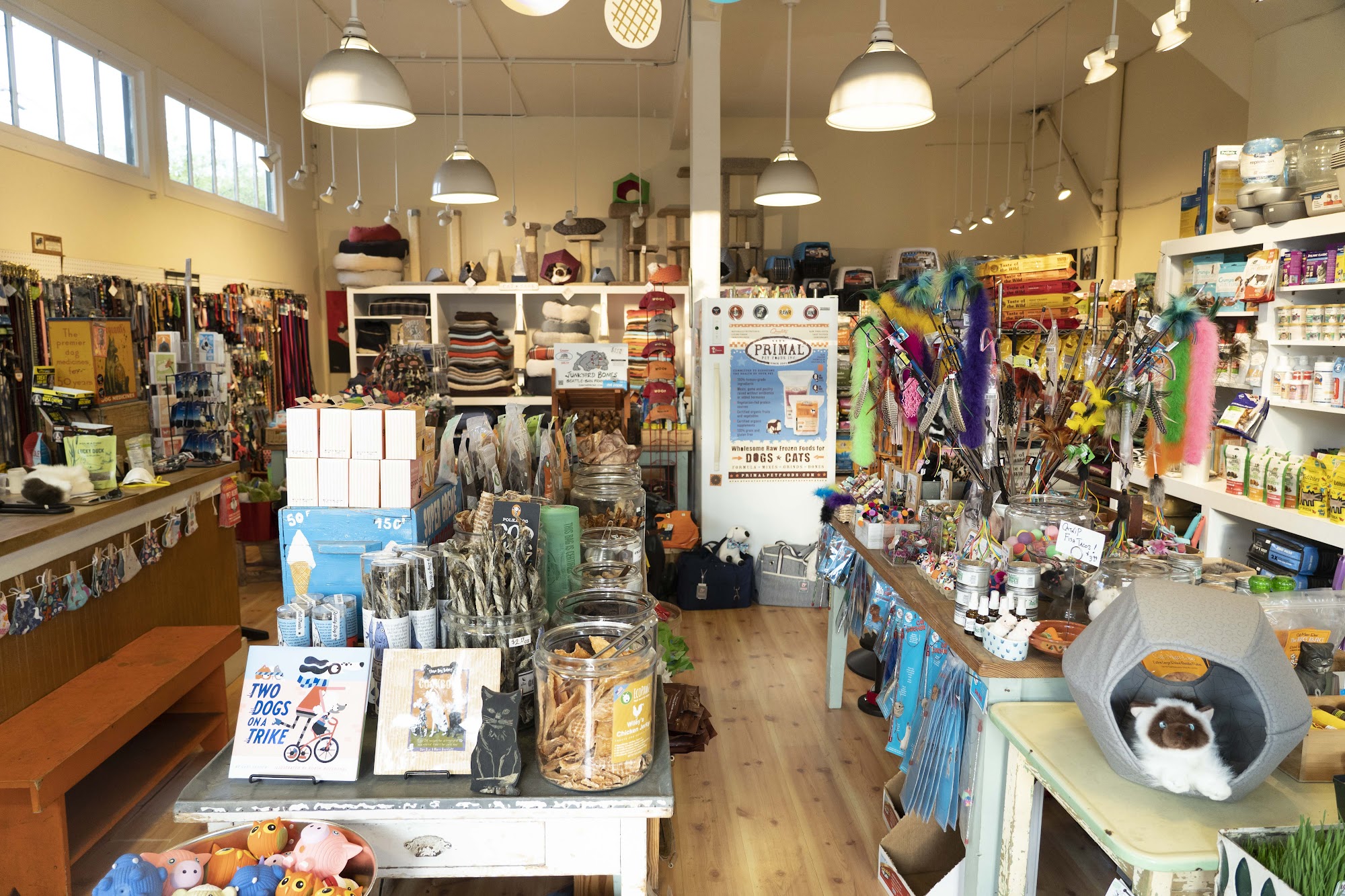 Noe Valley Pet Company San Francisco