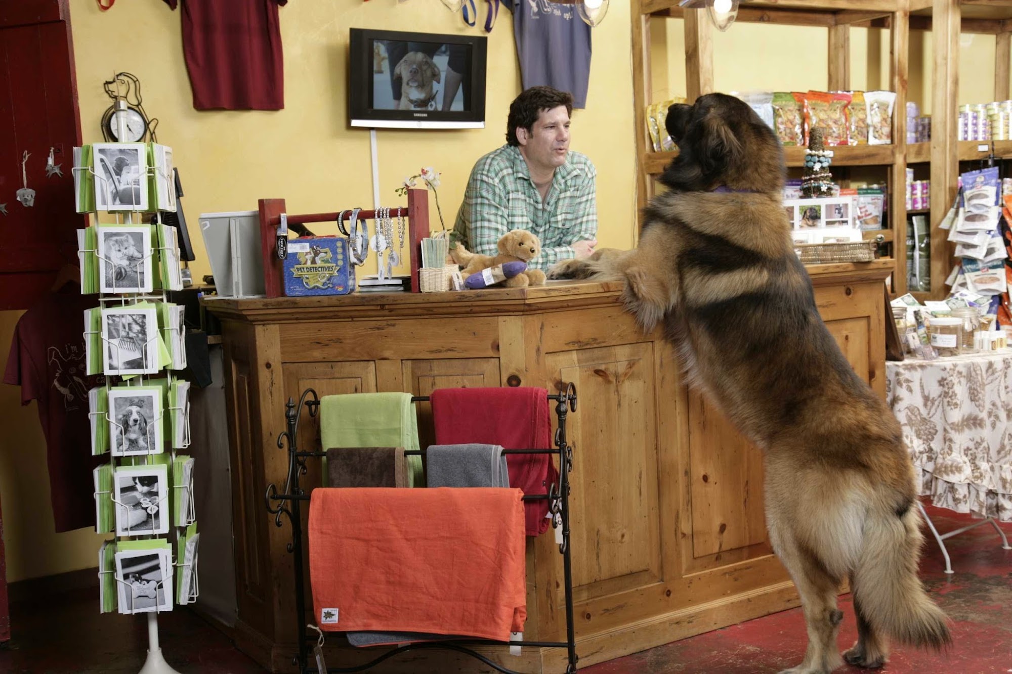 My Pet Naturally Santa Monica