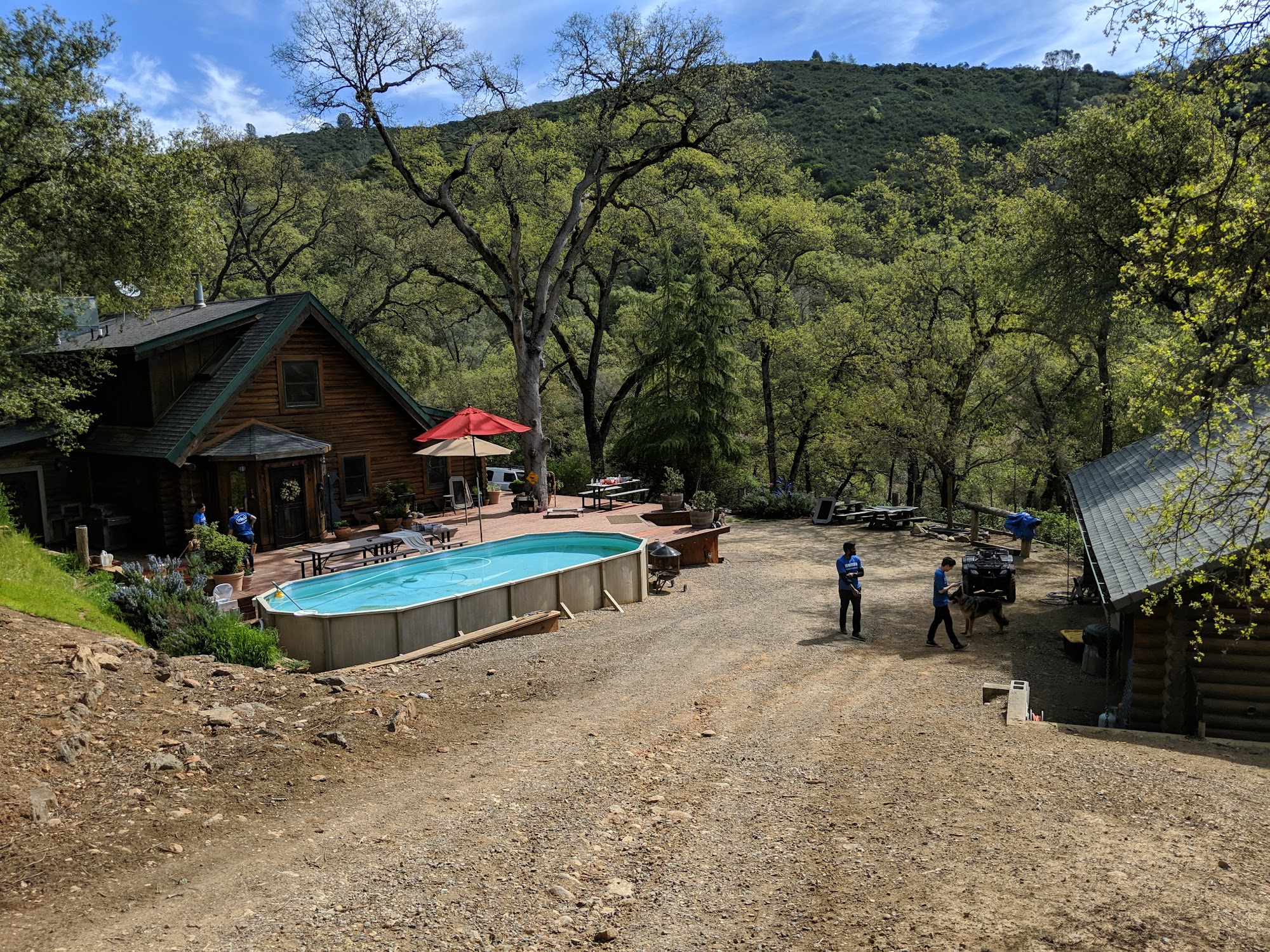 El Dorado County German Shepherd Rescue Shingle Springs