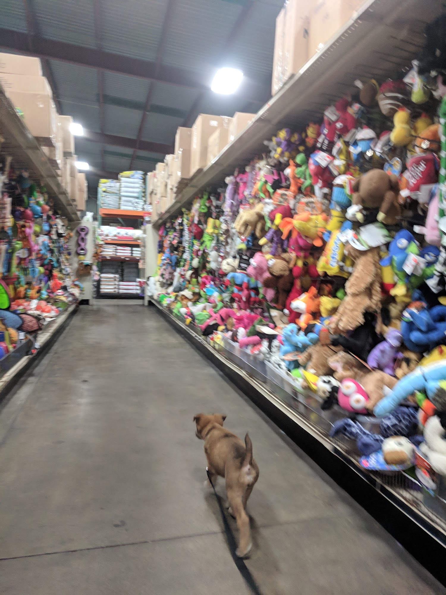 Pet Pals Discount Pet Food & Supplies Soquel