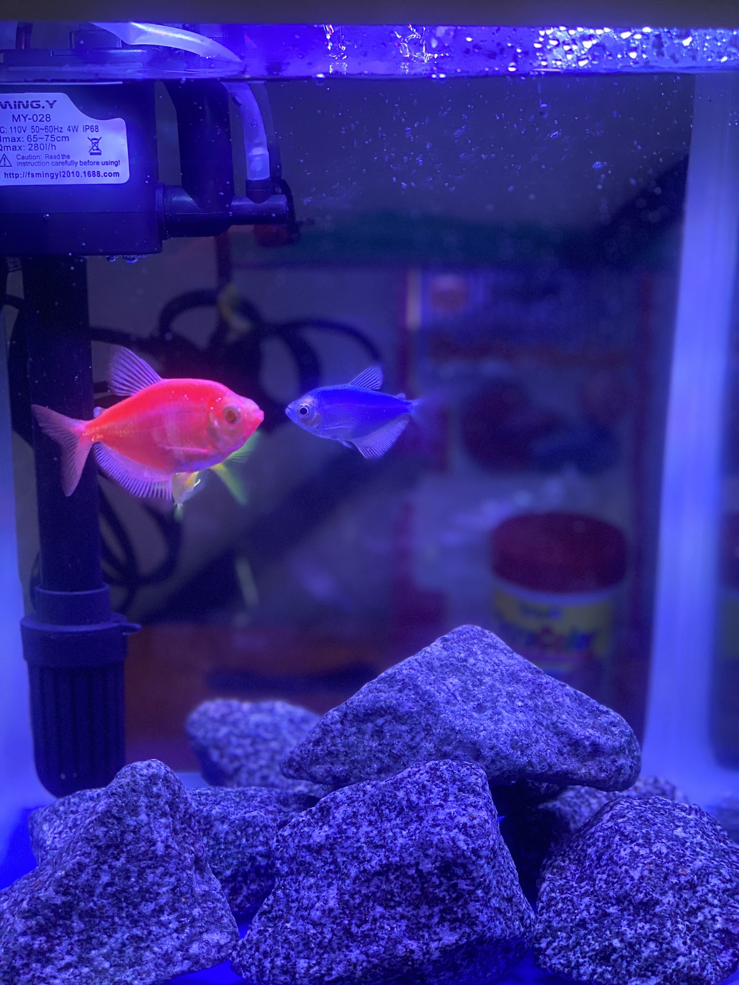 Lee's Pet Shop South El Monte