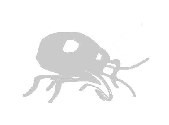 Beetles-Termites, Pest Control Co.