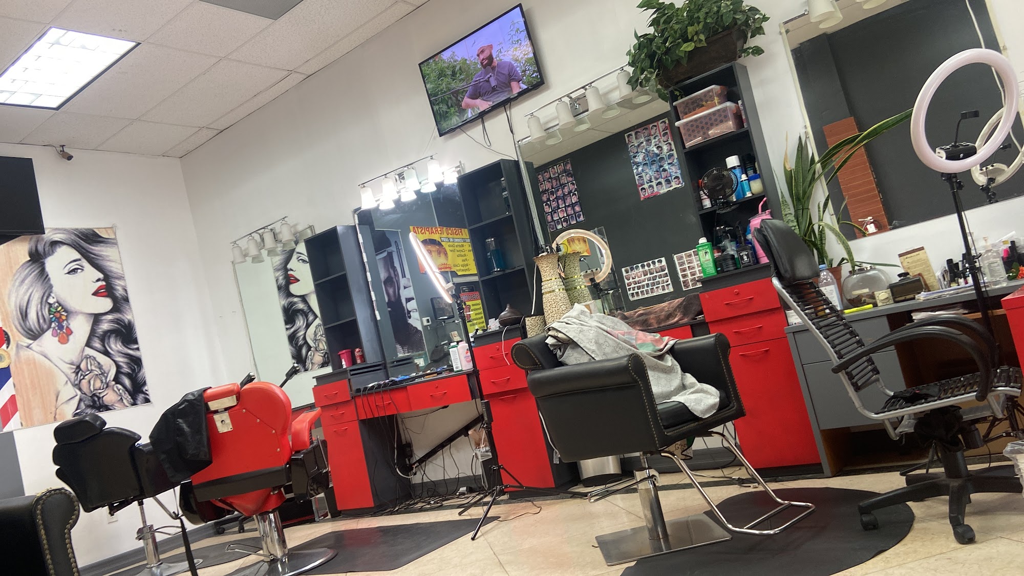 Barber shop-hollywood style